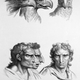 Illustration for article titled Baroque-Era Drawings Reveal Early Ideas About Evolution